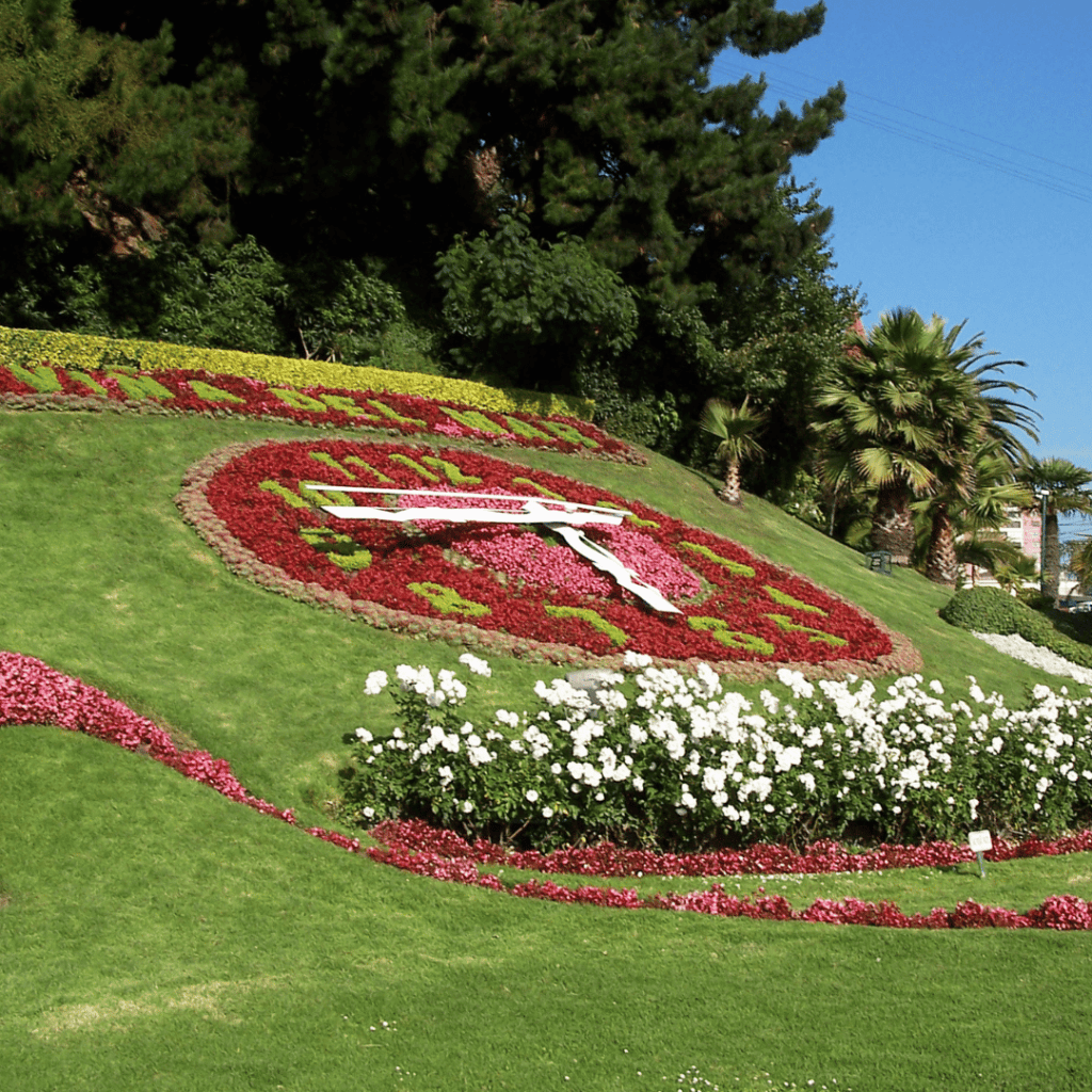 EDIPRO en VIÑA DEL MAR